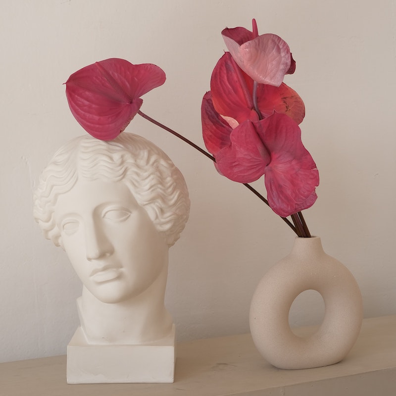 pink anthurium